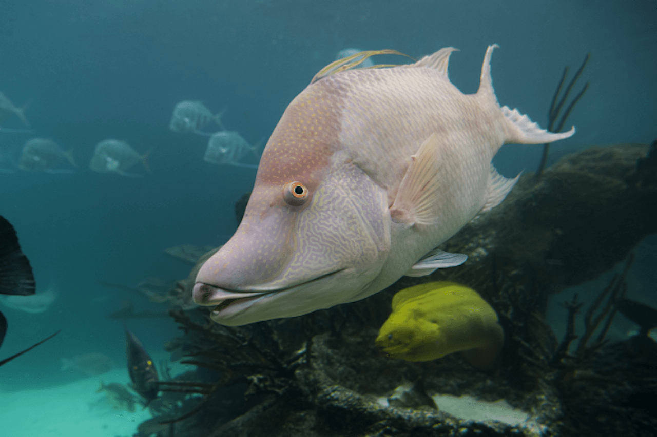 New York Aquarium - image 2
