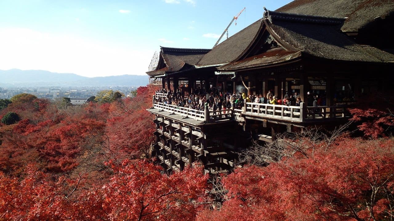 Kyoto Full-Day Tour: Nijo Castle, Kinkaku-ji,  Fushimi Inari Taisha, Kiyomizu-dera Temple - imagen 6
