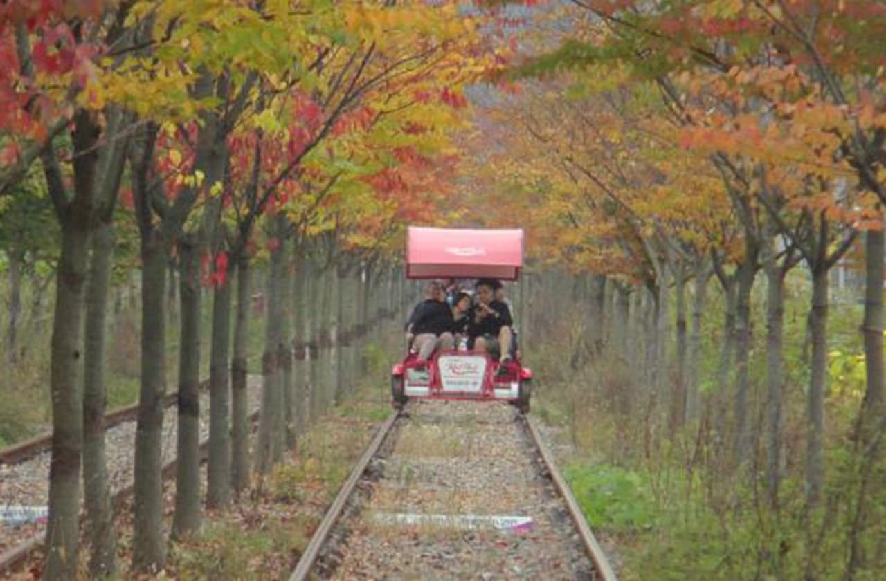 Nami Island, Petite France, Garden of Morning Calm, and Gangchon Rail Bike Tour from Seoul - image 8