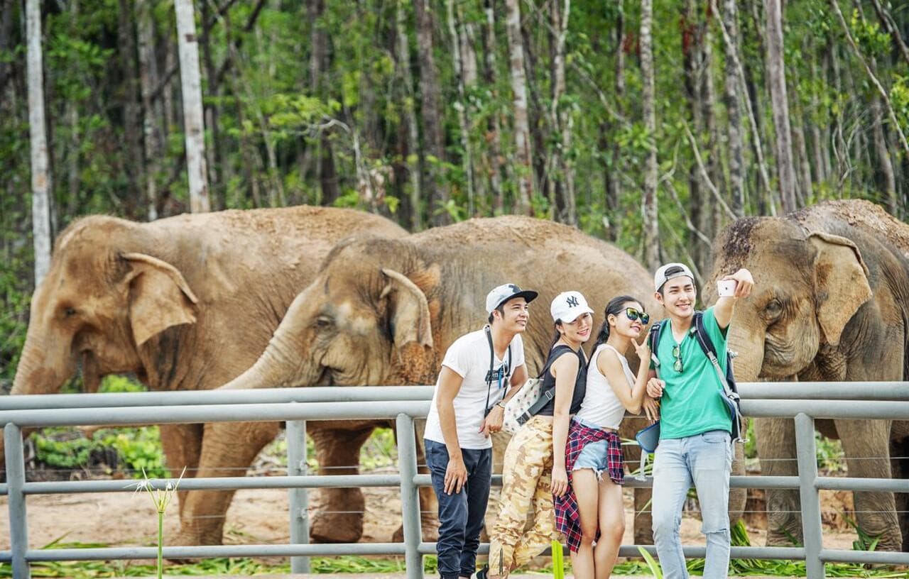 Entrada para Vinpearl Safari Phu Quoc - imagen 11