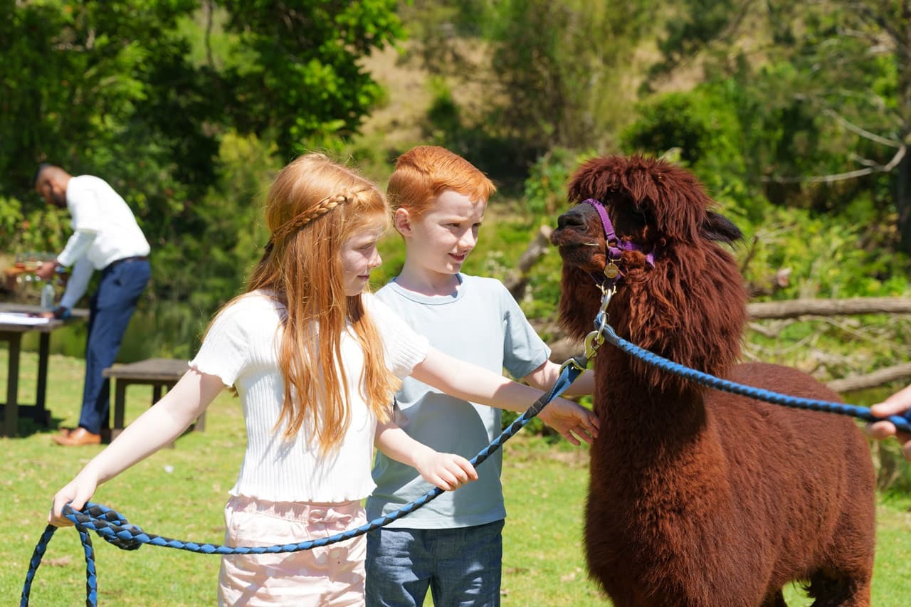 Lamington National Park Tour: O'Reilly's Rainforest Retreat and Canungra Valley Vineyard - 이미지 12