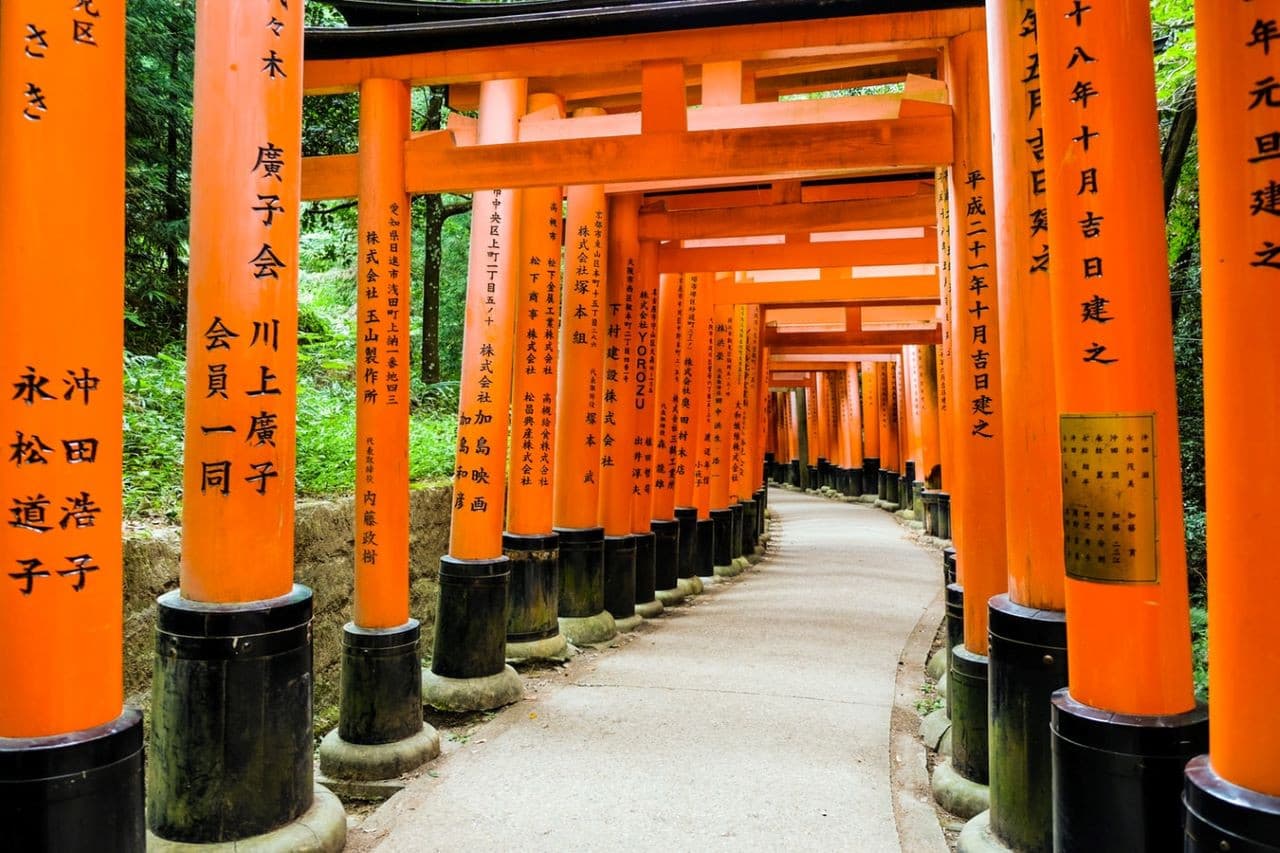 Kyoto Full-Day Tour: Nijo Castle, Kinkaku-ji,  Fushimi Inari Taisha, Kiyomizu-dera Temple - image 10