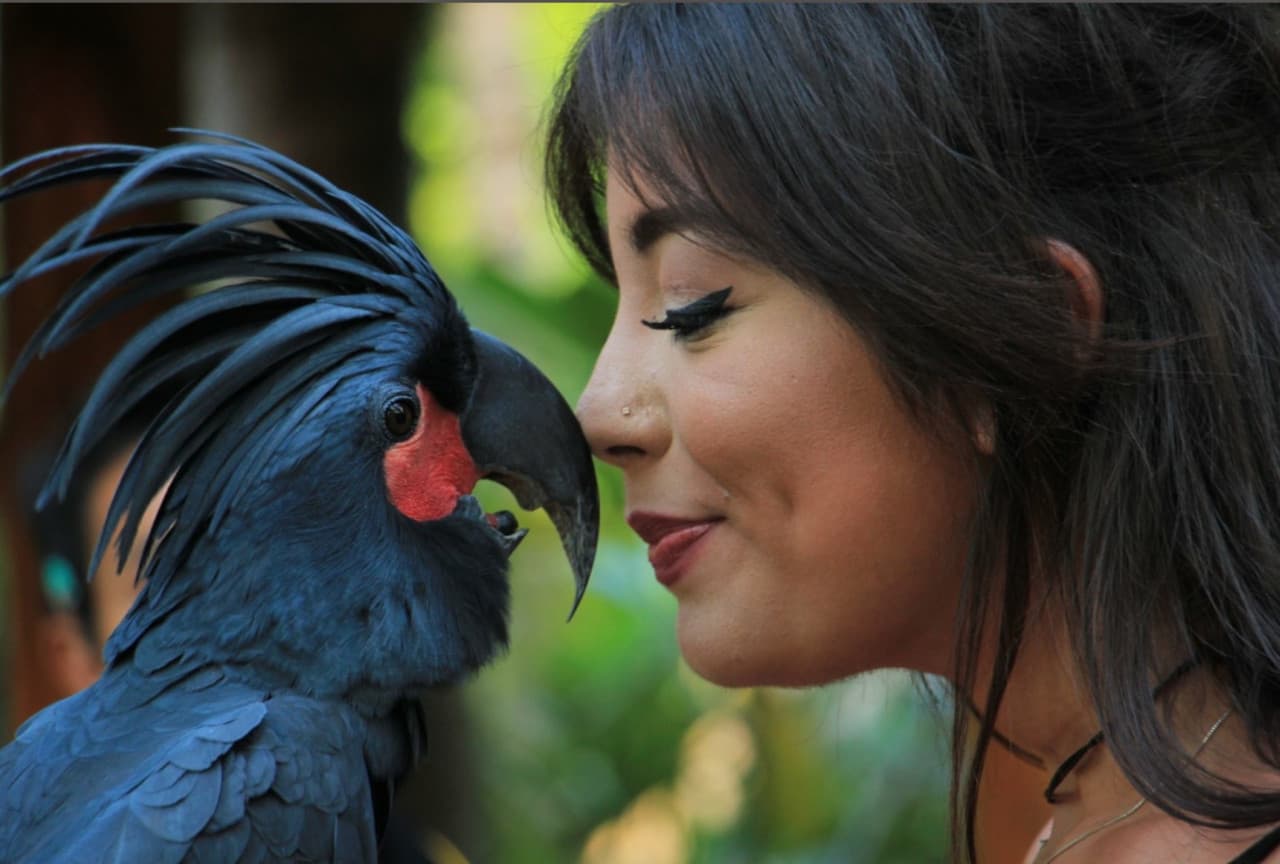 Lombok Wildlife Park: Intimate Wildlife Experience - image 5