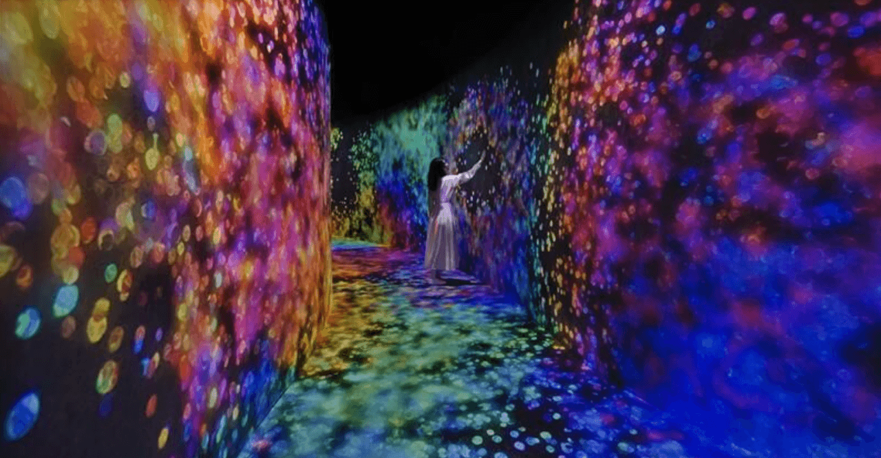 teamLab Phenomena Abu Dhabi Ticket - image 10