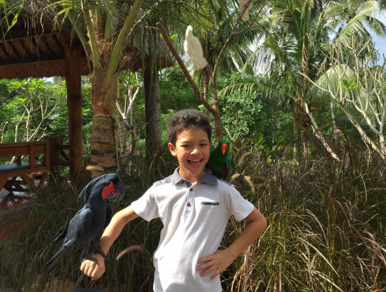 Lombok Wildlife Park: Experiencia íntima con la vida silvestre - imagen 6