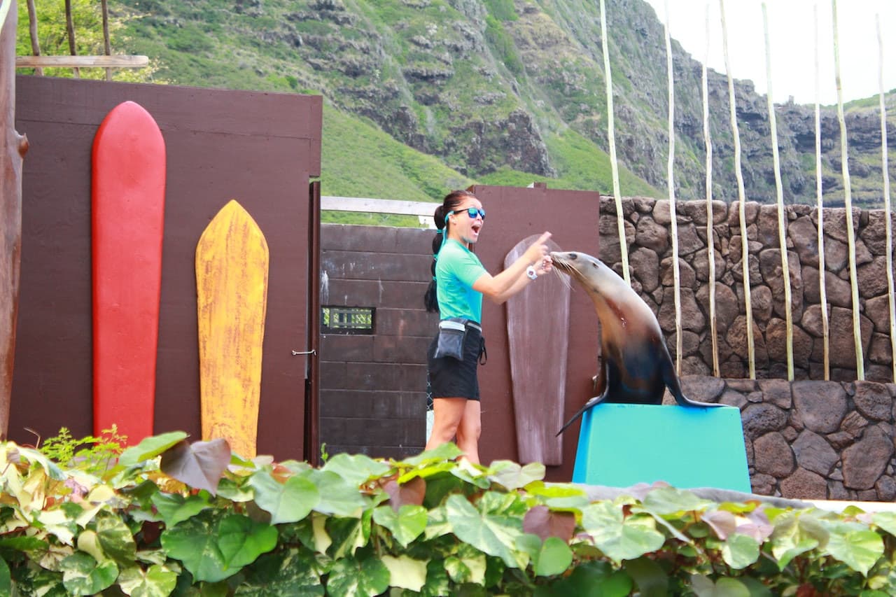 Sea Life Park Hawaii - image 6