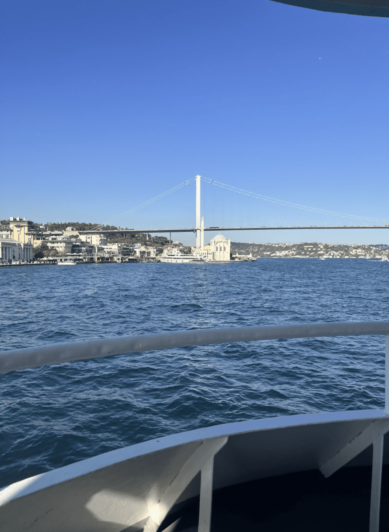 Golden Horn and Bosphorus Sightseeing Cruise with Audio Guide - imagen 6