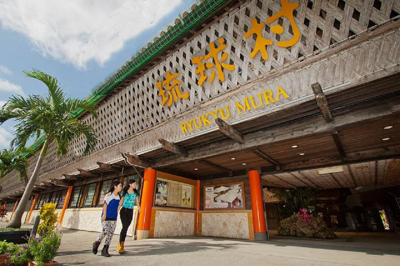 Pase Okinawa Churaumi TokuToku 5 - imagen 10