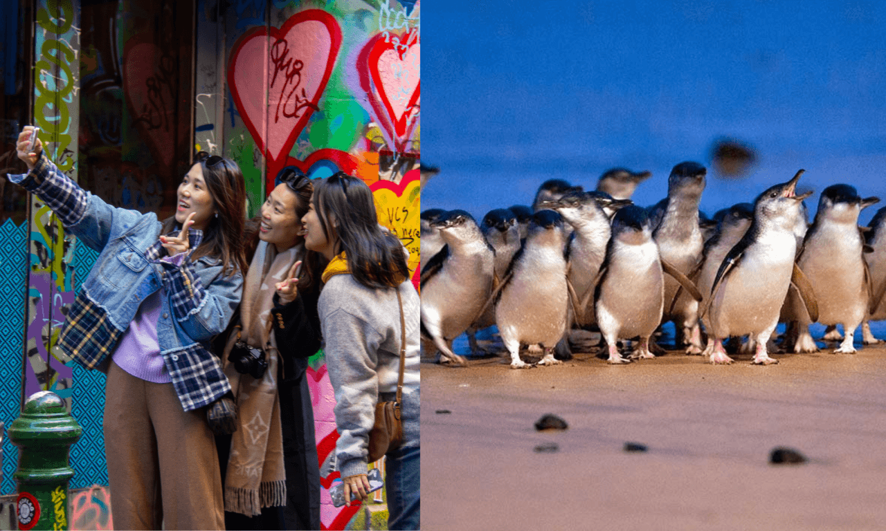 Melbourne City Discovery Tour with Penguin Parade - imagen 17