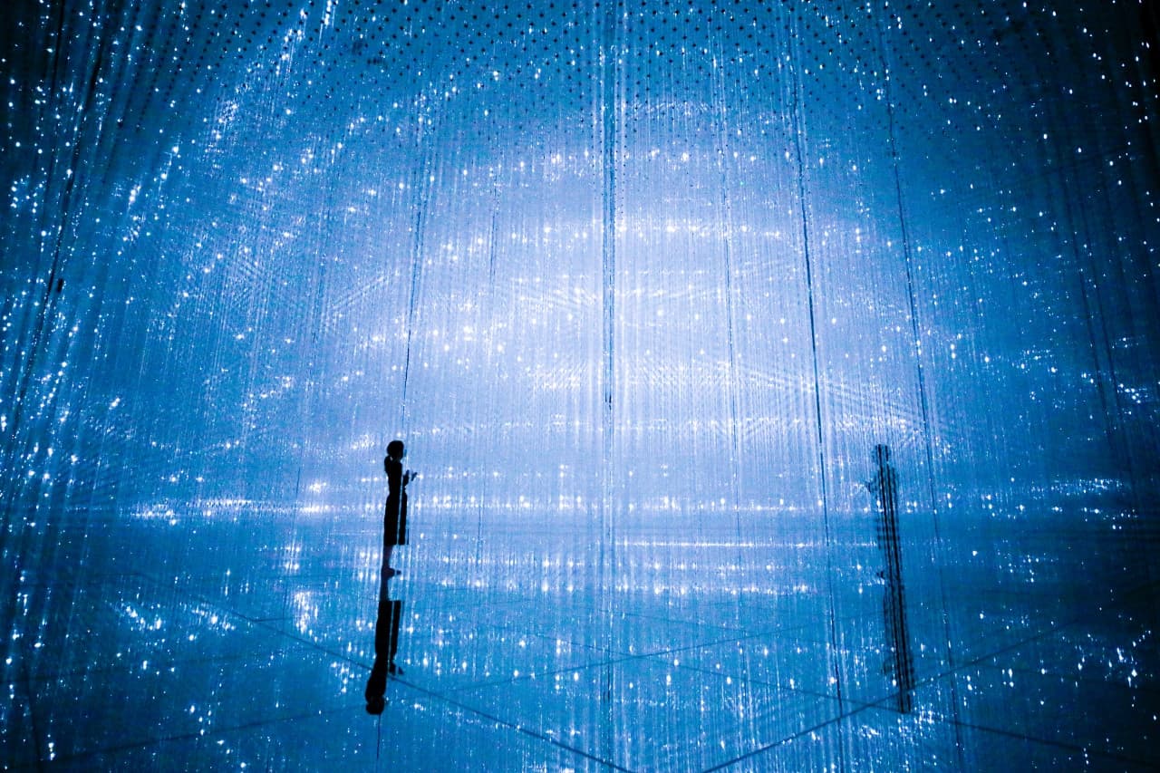 teamLab Planets TOKYO Ticket - image 5