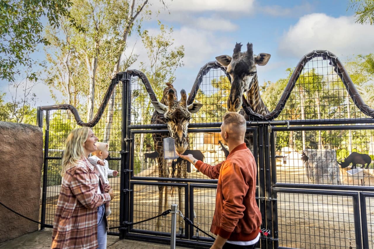 Go City Los Angeles All-Inclusive Pass Plus: Save up to 50% on Attractions - image 4