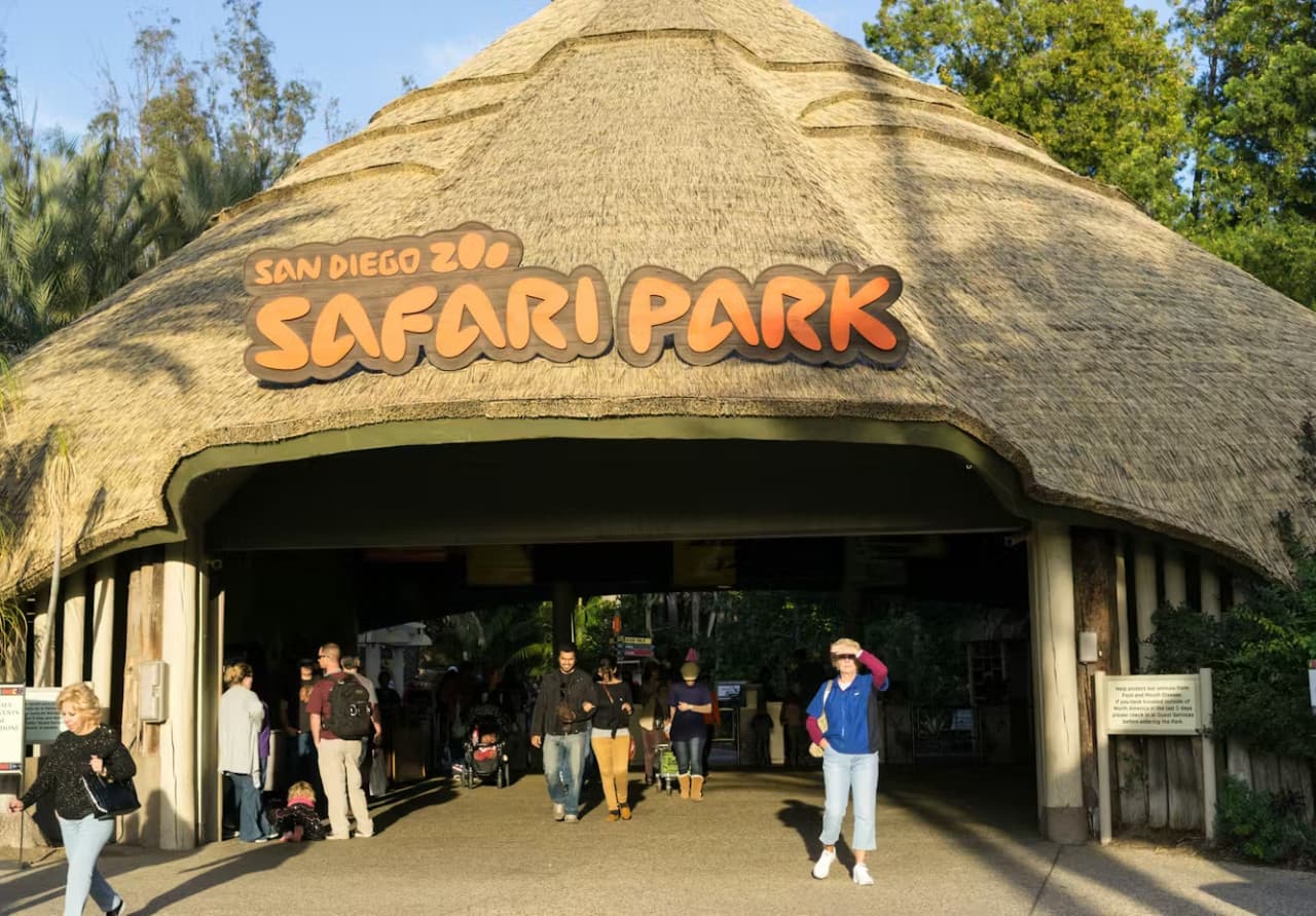 2-Visit Pass: San Diego Zoo + San Diego Zoo Safari Park Tickets - image 9