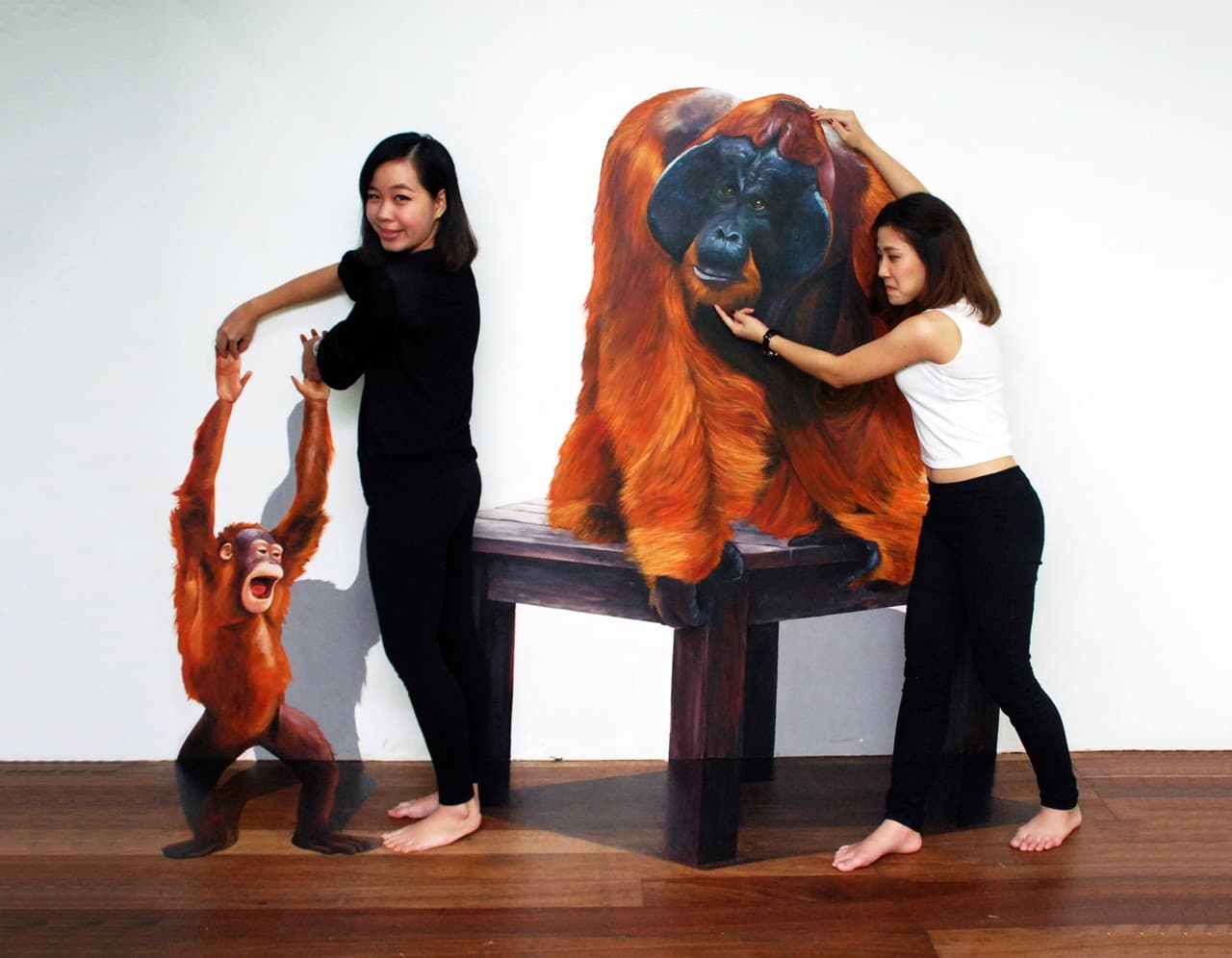 Penang 3D Trick Art Museum - image 8