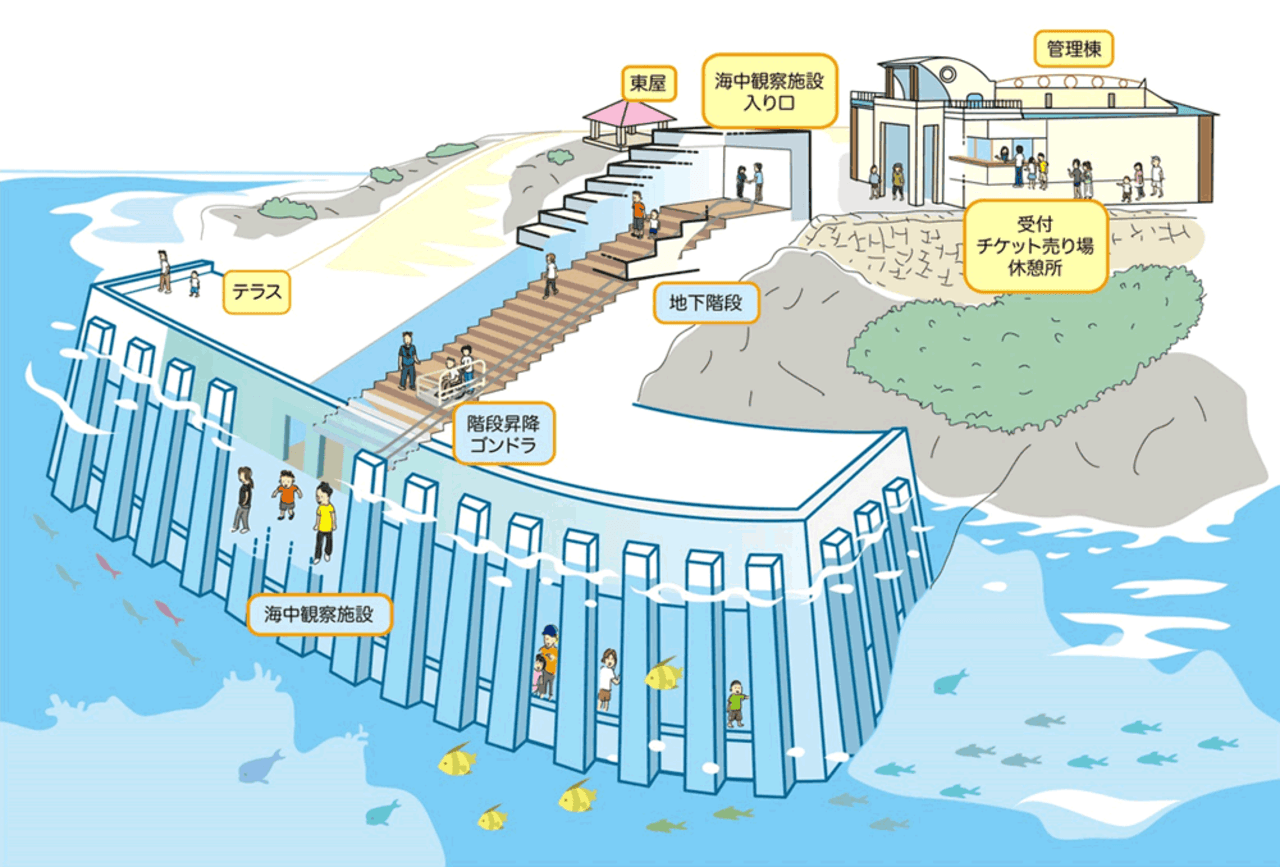 Okinawa Miyakojima Undersea Park - image 13