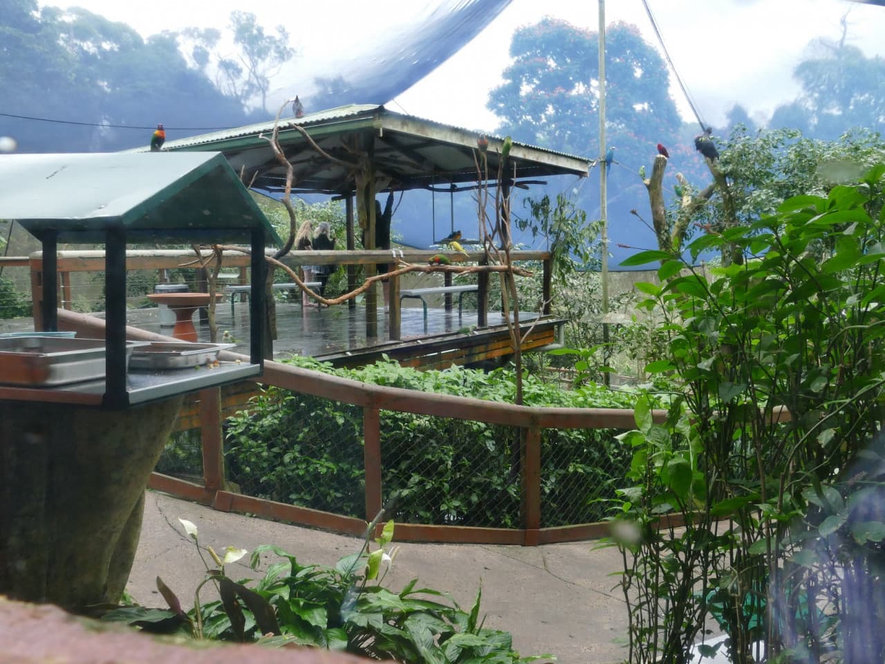 Birdworld Kuranda - image 7