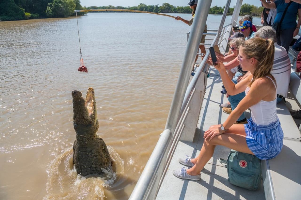 Spectacular Jumping Crocodile Cruise - image 2
