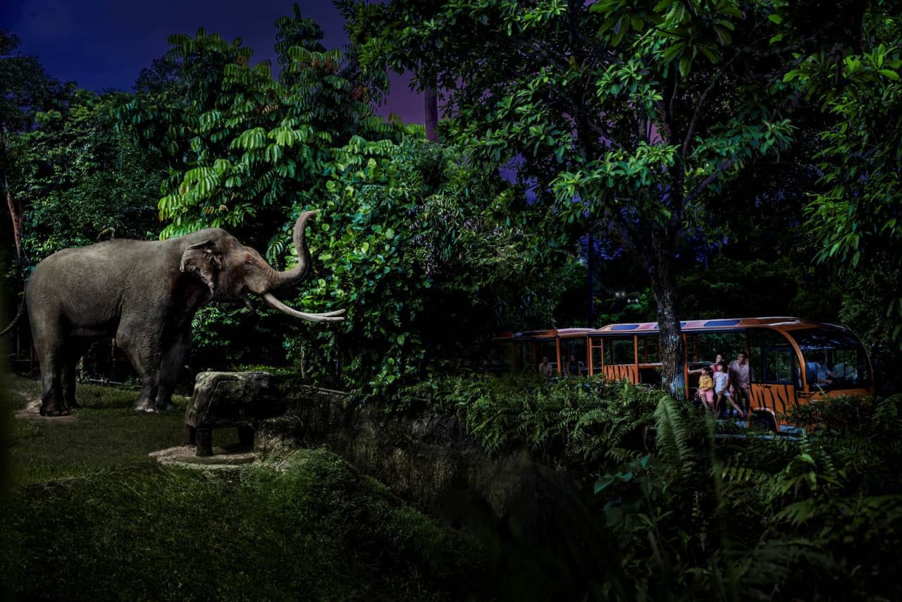 Mandai Destination Pass: Up to 2 Attractions in 1 Day - image 5