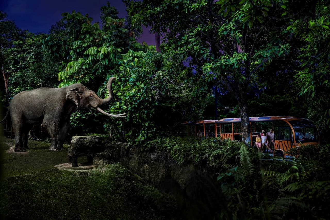 Singapore Night Safari Ticket - main image