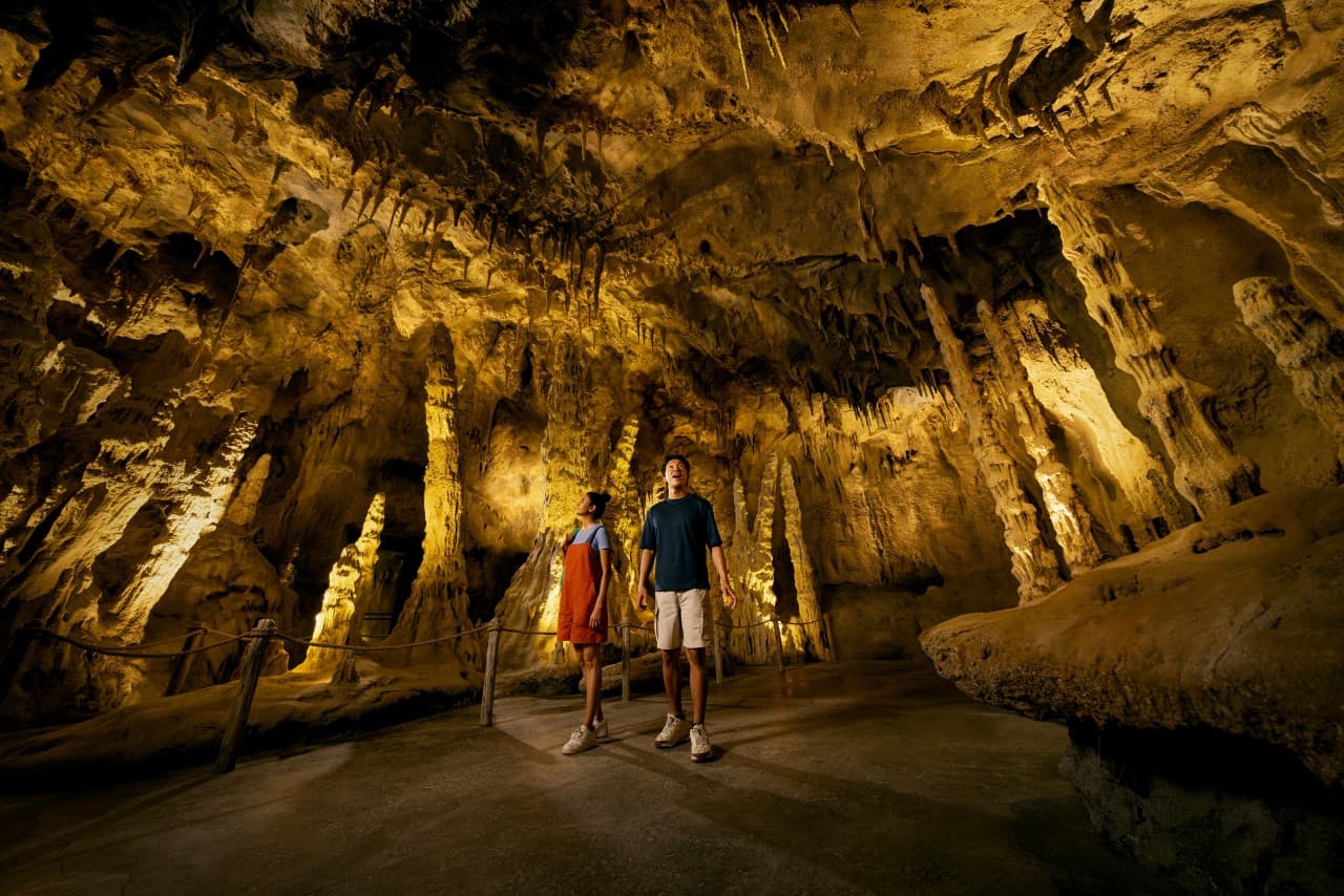 Rainforest Wild Adventure Ticket - image 4