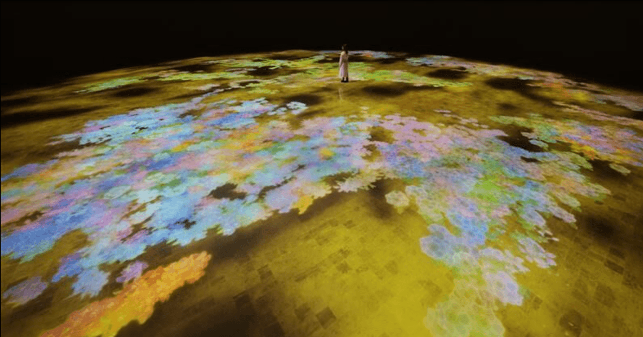 teamLab Phenomena Abu Dhabi Ticket - image 12