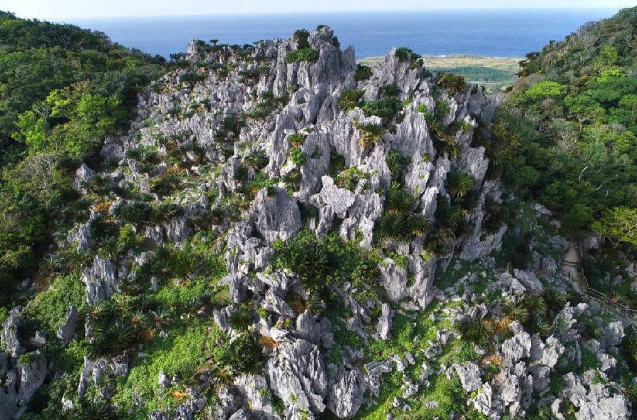 Pase Okinawa Churaumi TokuToku 5 - imagen 3