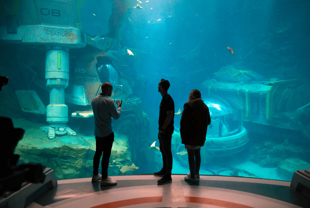 SeaWorld Abu Dhabi Ticket - image 11