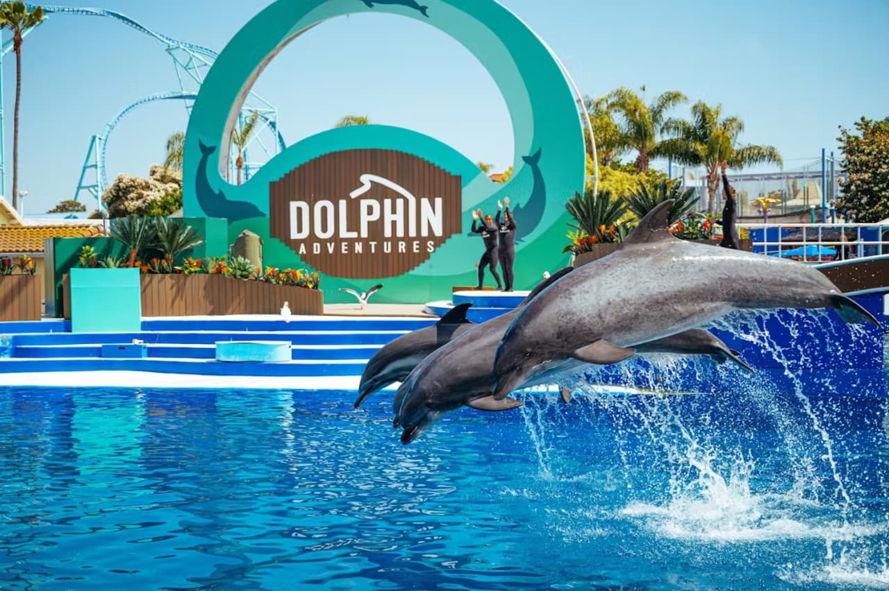 SeaWorld San Diego Ticket: Direct Entry - image 9