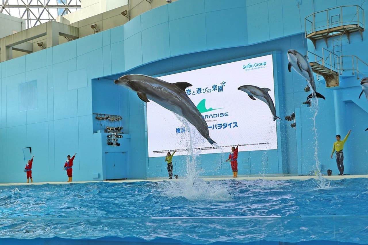 Yokohama Hakkeijima Sea Paradise Ticket - image 3