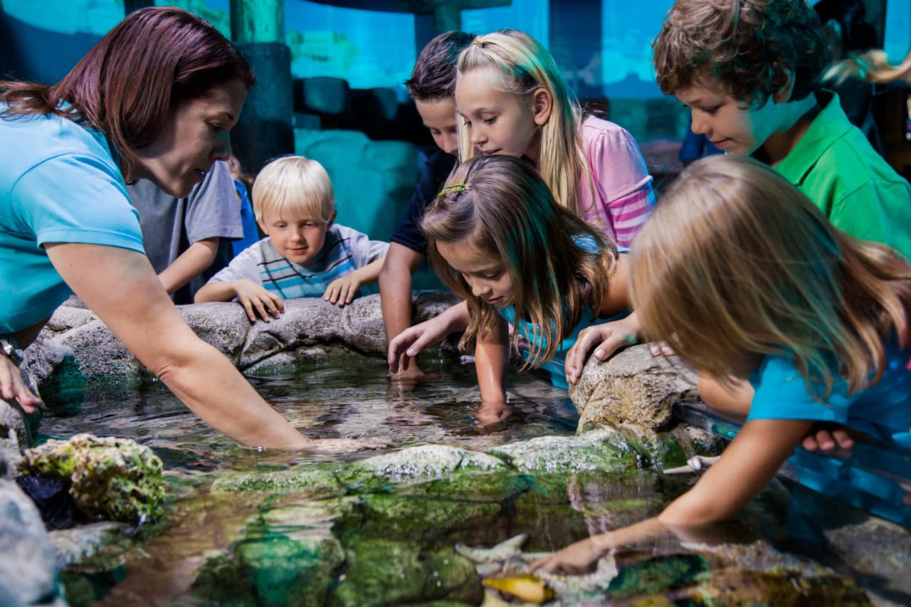 Go City Orlando All-Inclusive Pass: Save up to 50% on Attractions - imagen 24