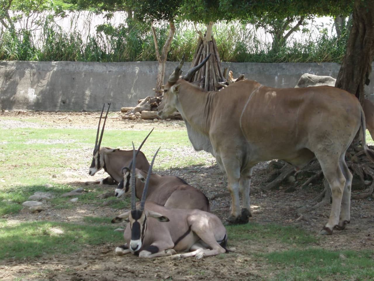 Taipei Zoo - image 3