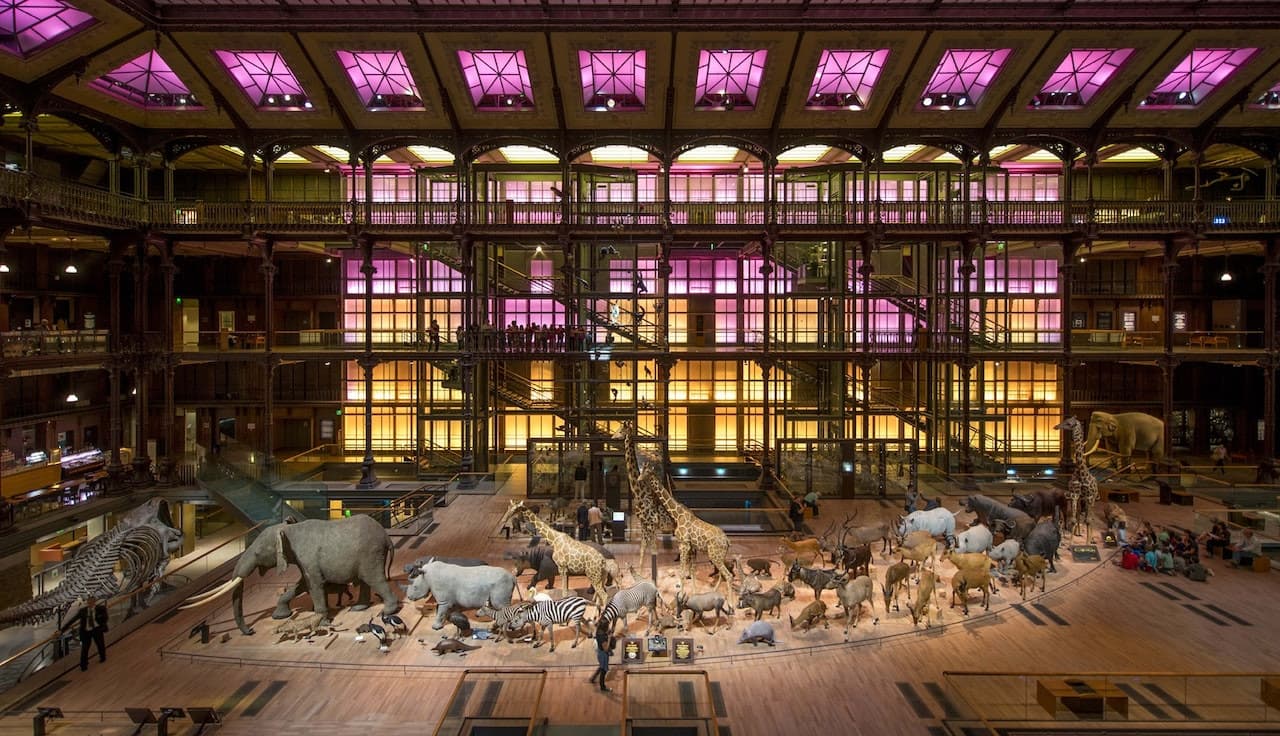 Grande Galerie de l'Évolution: Skip The Line - image 2