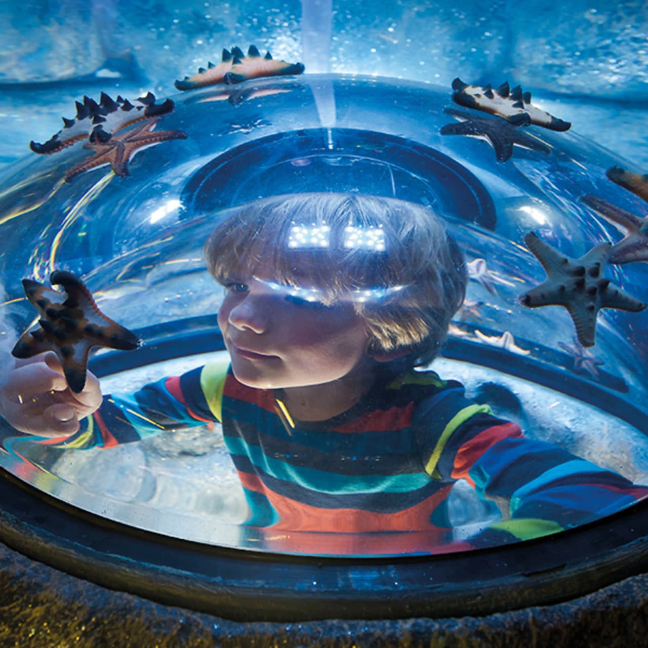 SEA LIFE New Jersey Aquarium Ticket - imagen 6