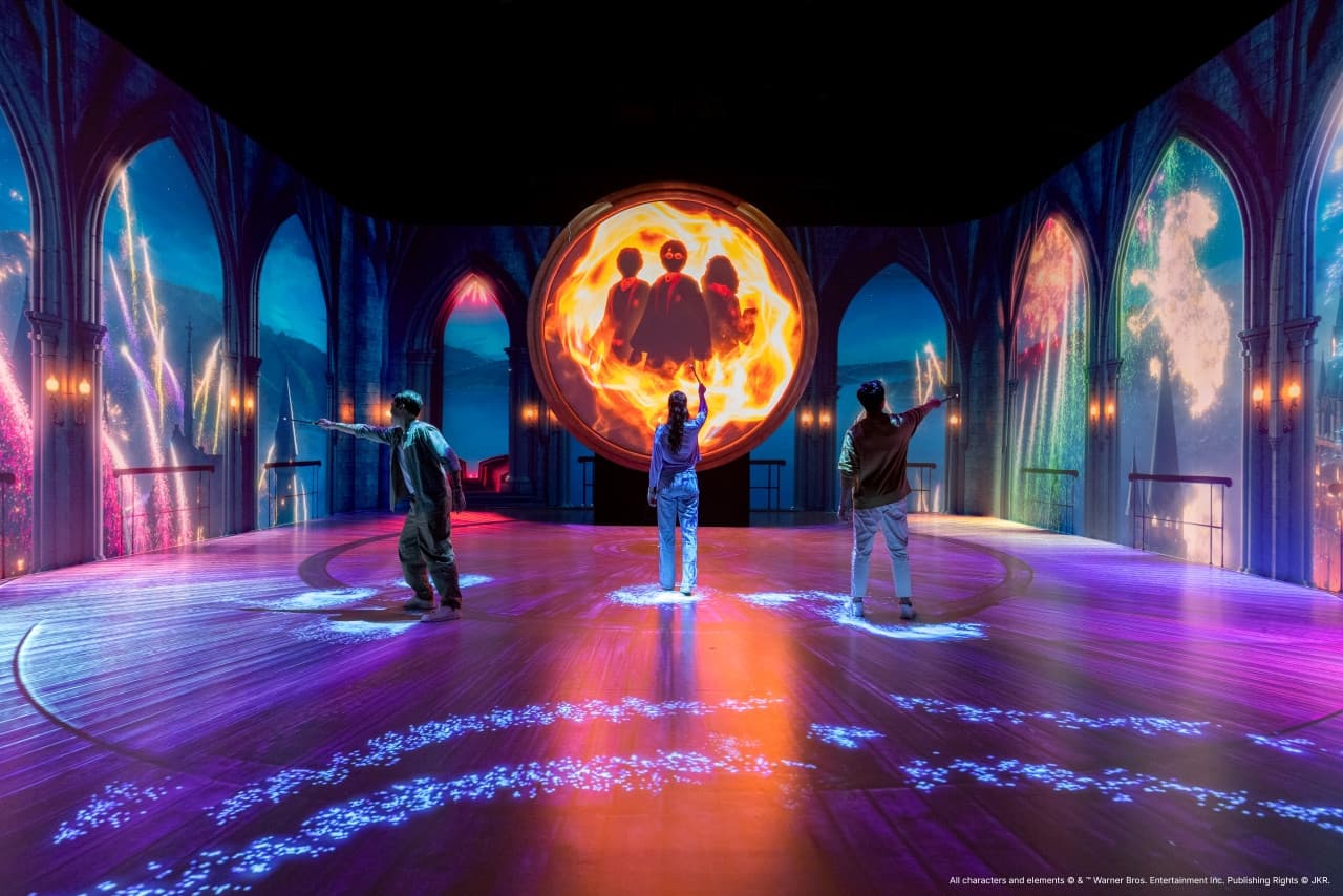 Harry Potter: Visions of Magic - image 7