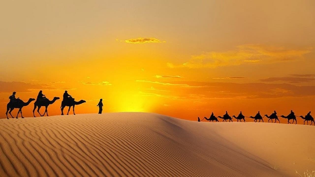 Liwa Desert Safari Tour - imagen 2