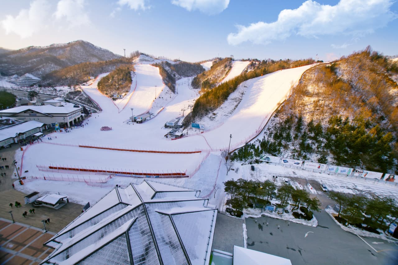 Elysian Gangchon Ski Resort and Nami Island Full-Day Tour from Seoul - imagen 7