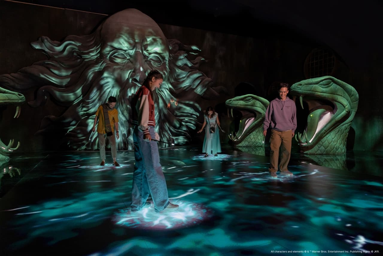 Harry Potter: Visions of Magic - image 3