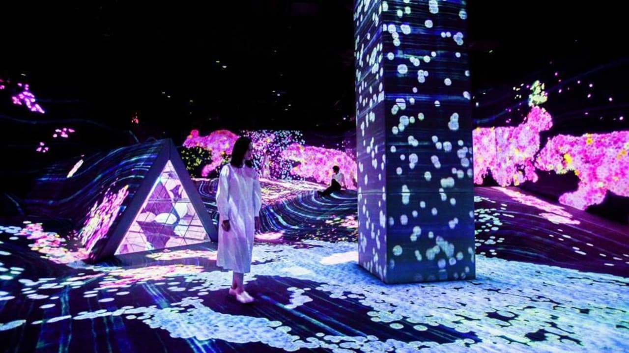 teamLab Forest Fukuoka - image 4