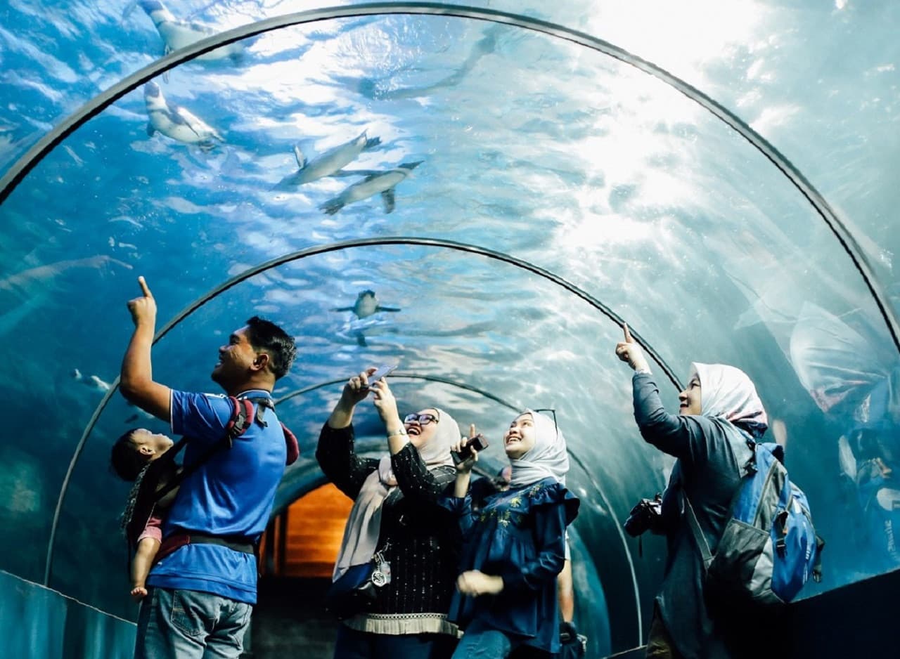 Underwater World Langkawi Ticket - image 3