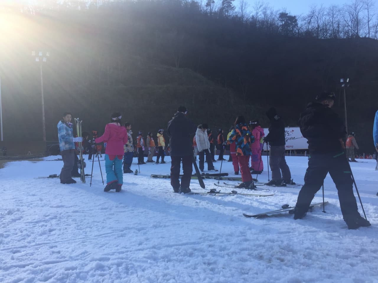 Elysian Gangchon Ski Resort and Nami Island Full-Day Tour from Seoul - image 9