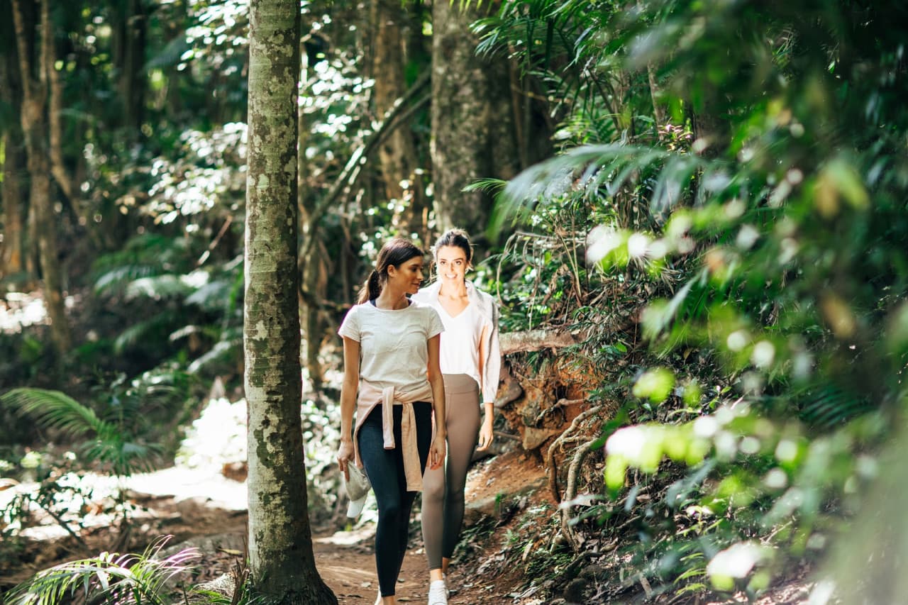 Tamborine Mountain Guided Walk and Wine Tasting Tour - imagen principal