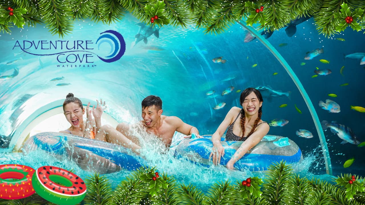 COMBO: Adventure Cove Waterpark + Gardens by the Bay Ticket - image 3