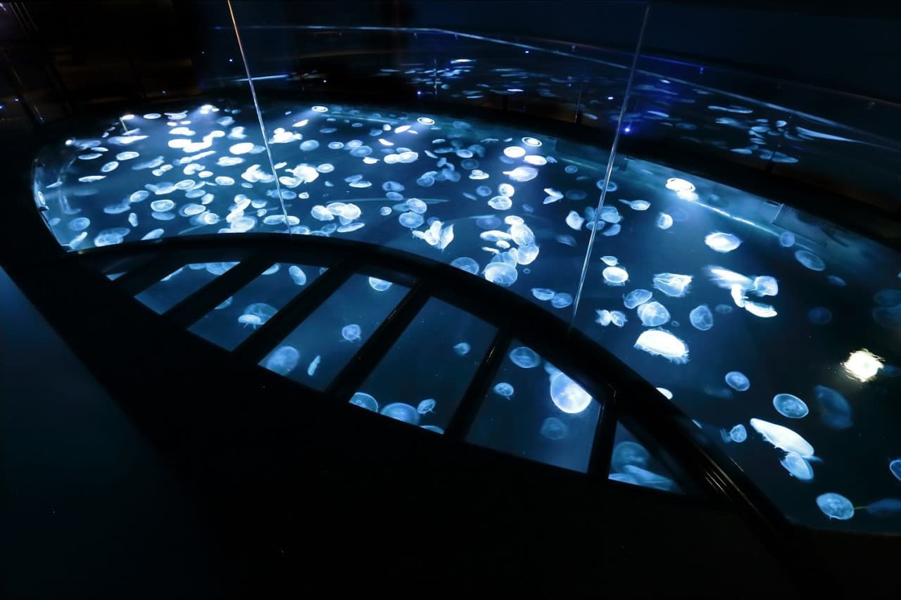 Sumida Aquarium Ticket - image 3