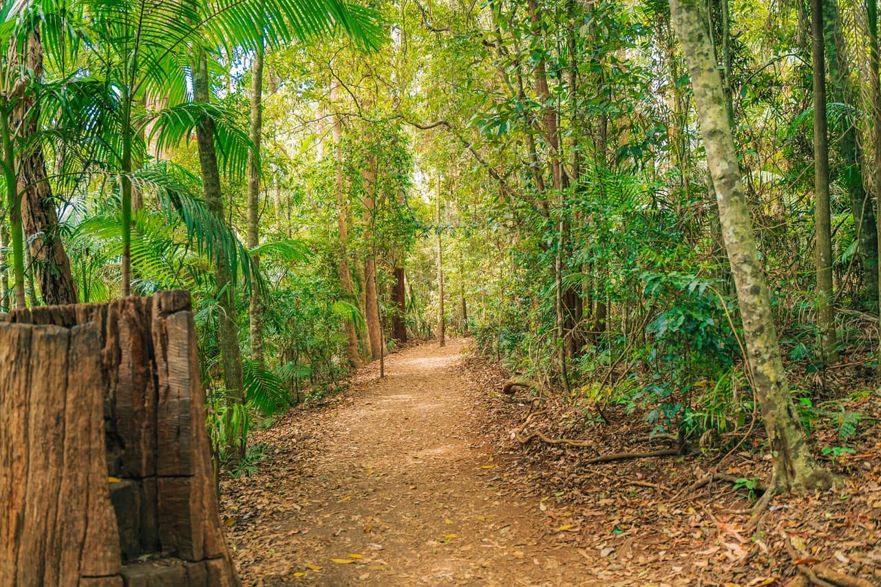 Tamborine Mountain Guided Walk and Wine Tasting Tour - image 9