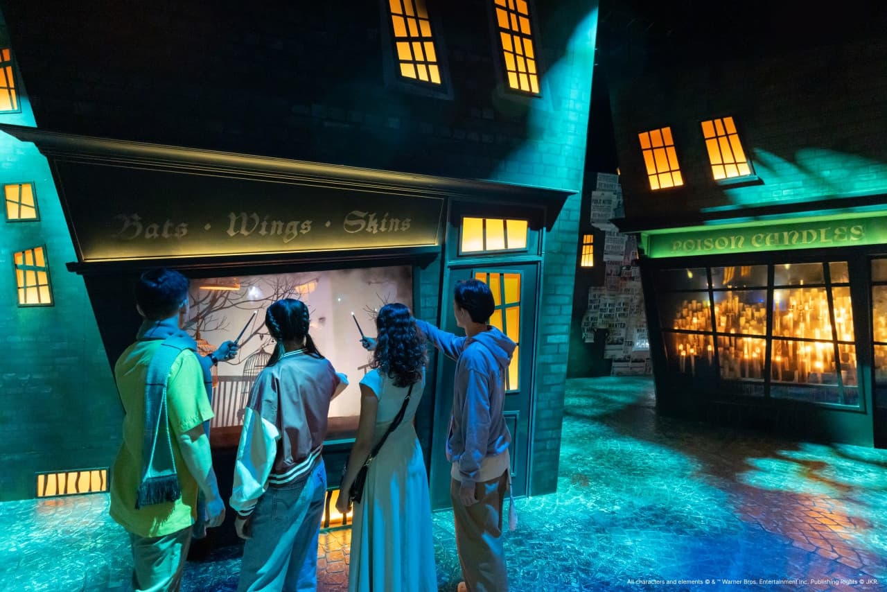 Harry Potter: Visions of Magic - image 9