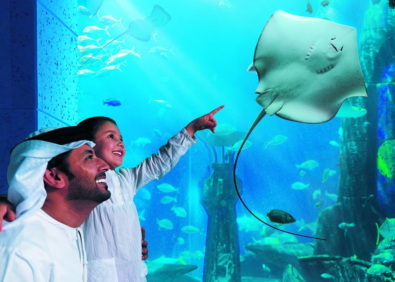 COMBO: IMG Worlds of Adventure with FREE Dubai Frame and Lost World Aquarium - image 3