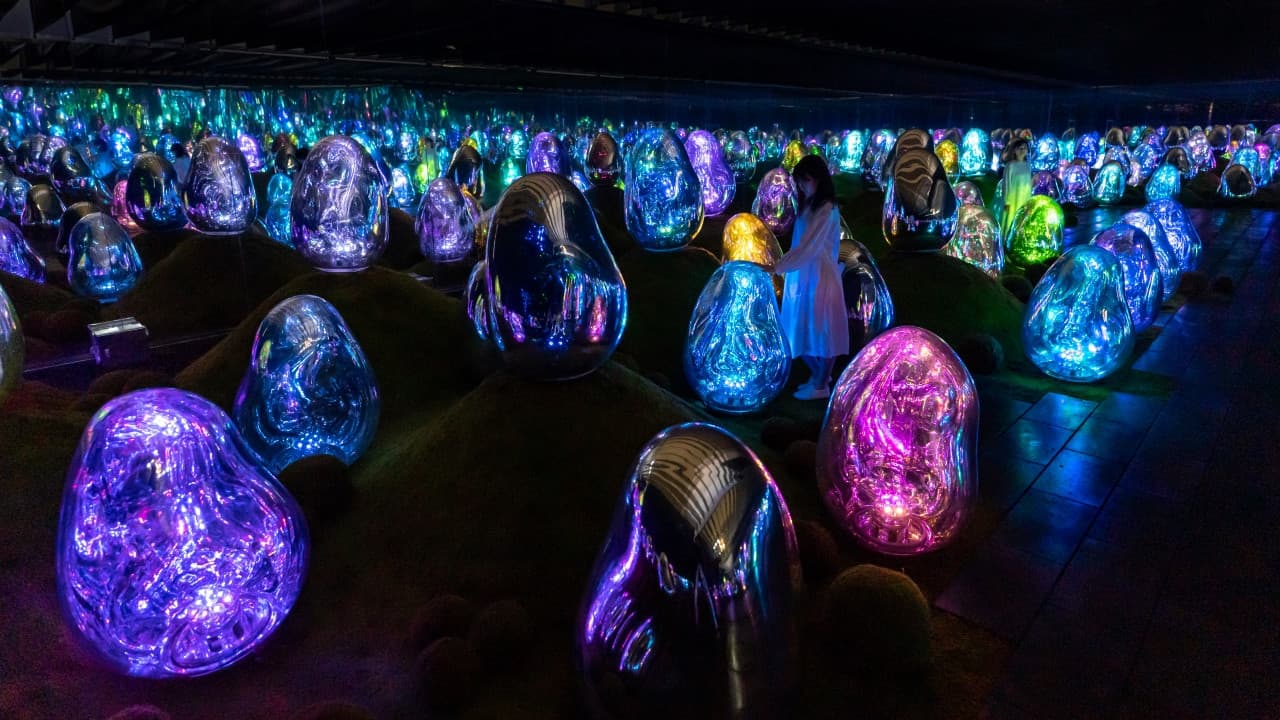 Entrada para teamLab Planets TOKYO - imagen 4