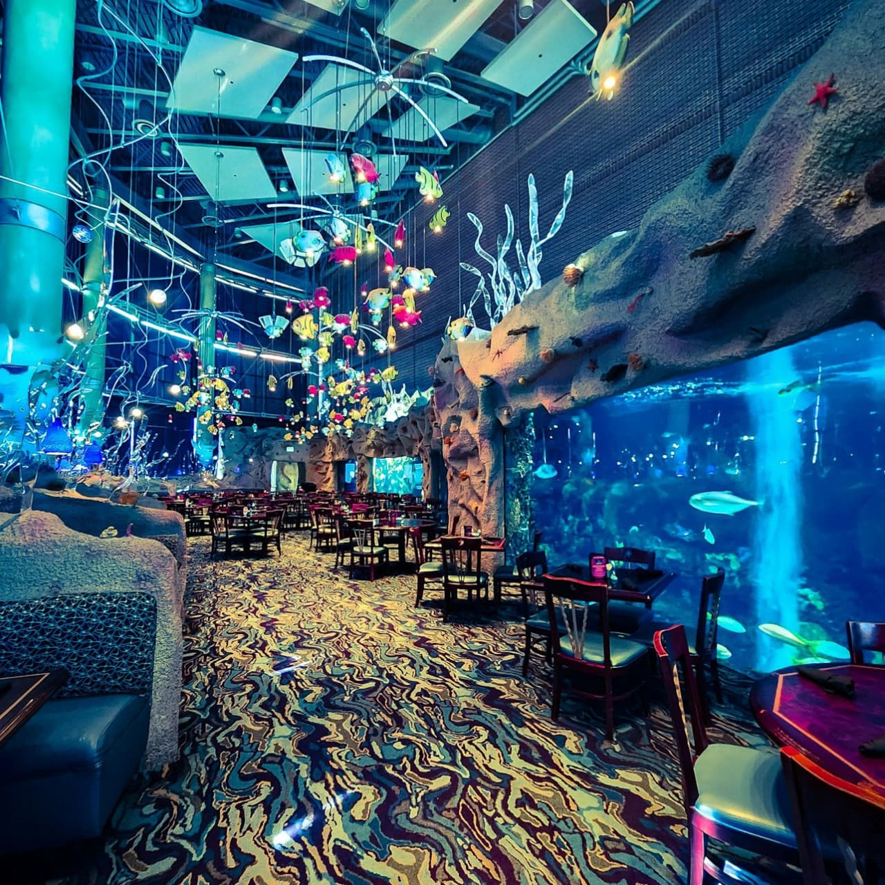 Downtown Aquarium Denver Ticket - image 7