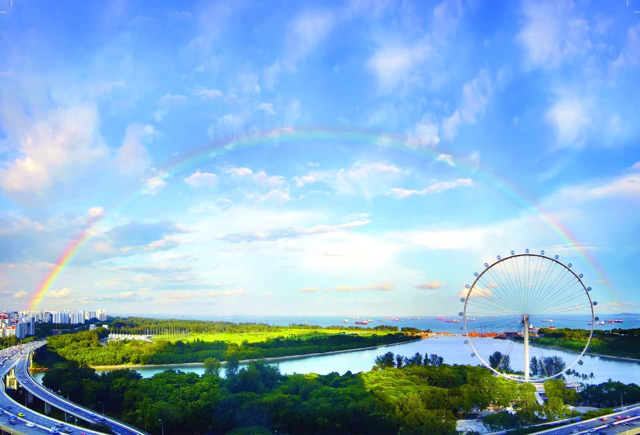 COMBO: Singapore Flyer + Gardens by the Bay Ticket - main image