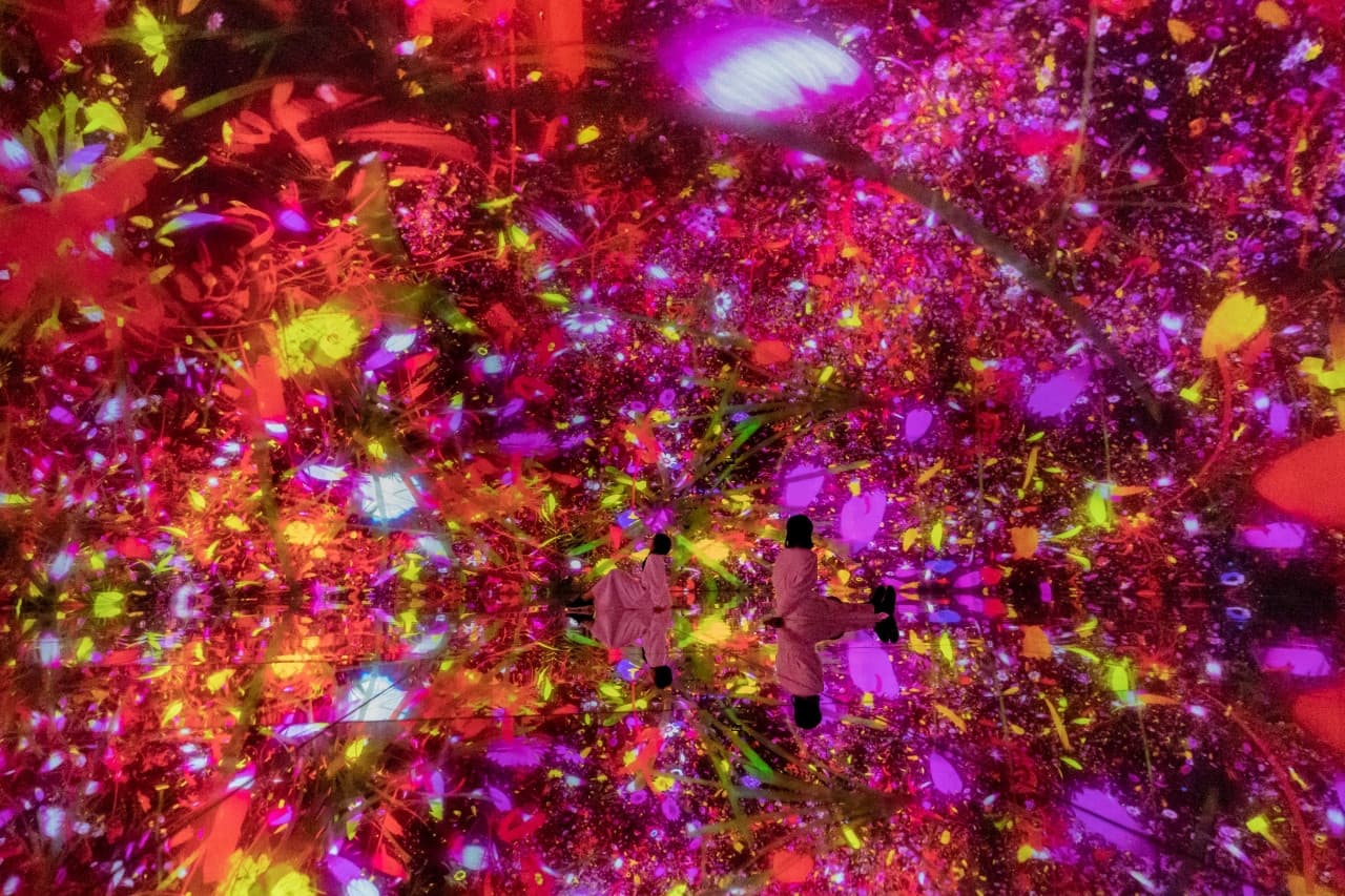 Entrada para teamLab Planets TOKYO - imagen 6