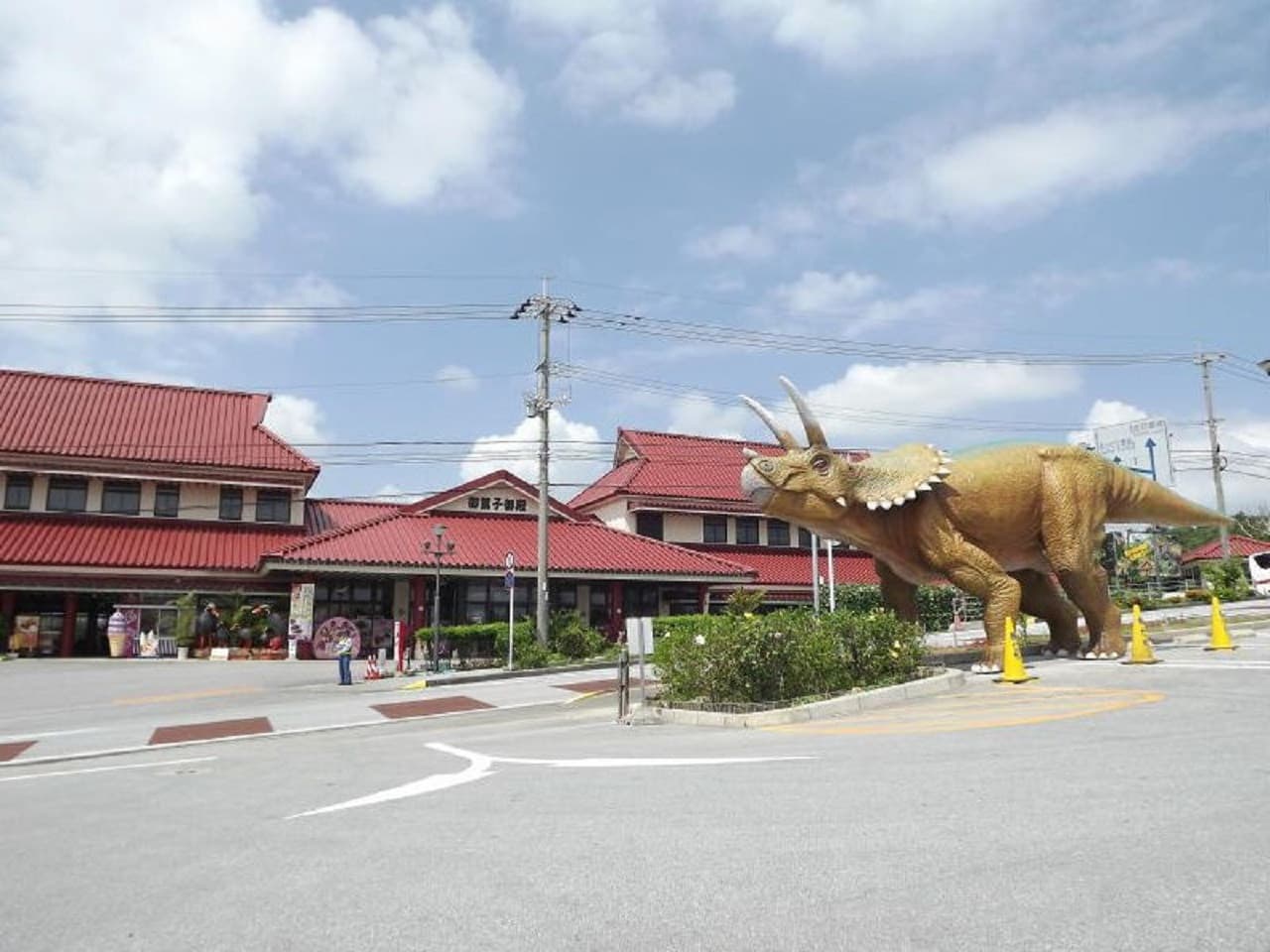 Pase Okinawa Churaumi TokuToku 5 - imagen 15